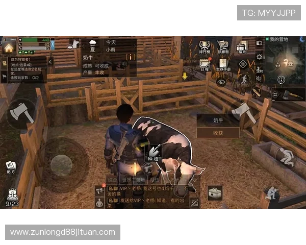 深度解析尊龙国际版的游戏种类，满足不同玩家的需求