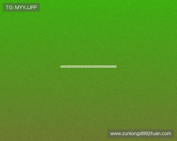 利用完美体育电子游戏平台打造精彩世界杯报道,提升体育网站内容的专业性与吸引力